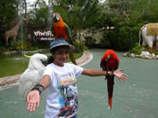 With Parakeets